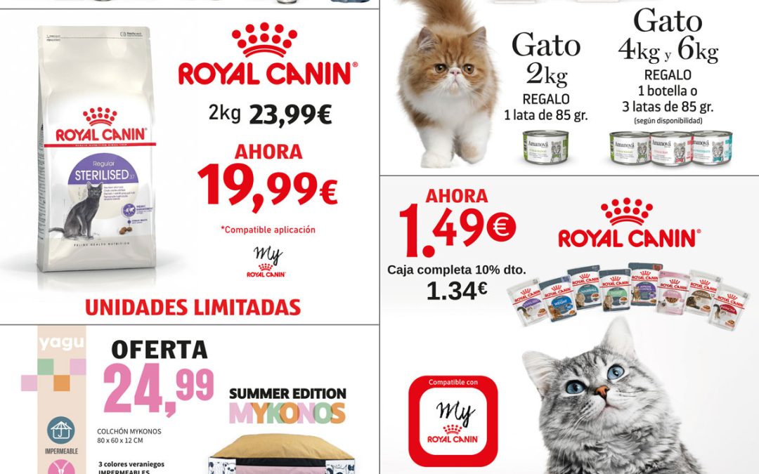 Ofertas julio-agosto 1