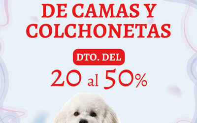 Outlet de camas y colchonetas